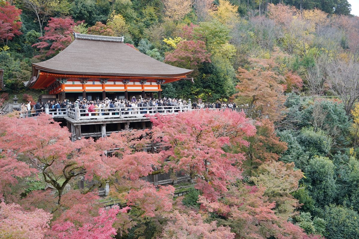 【京都賞楓景點推薦】世界文化遺產清水舞台 絕美秋色楓紅此生必訪 京都音羽山清水寺
