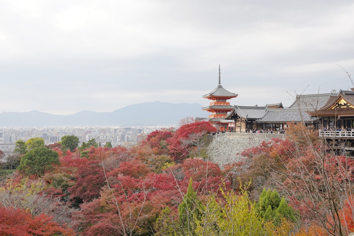 【京都賞楓景點推薦】世界文化遺產清水舞台 絕美秋色楓紅此生必訪 京都音羽山清水寺