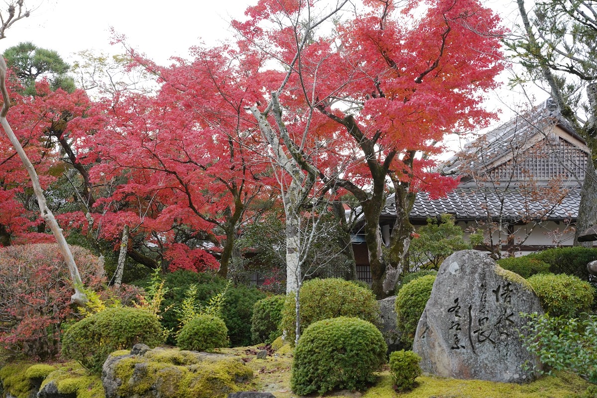 【京都賞楓景點推薦】世界文化遺產清水舞台 絕美秋色楓紅此生必訪 京都音羽山清水寺