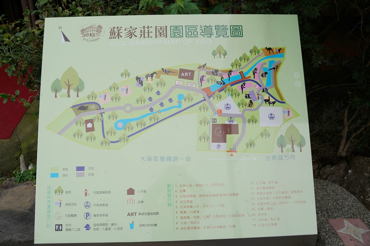 【大溪親子景點推薦】萬坪珍禽鳥類可愛動物莊園 龍貓巴士真的有龍貓 蘇家莊園
