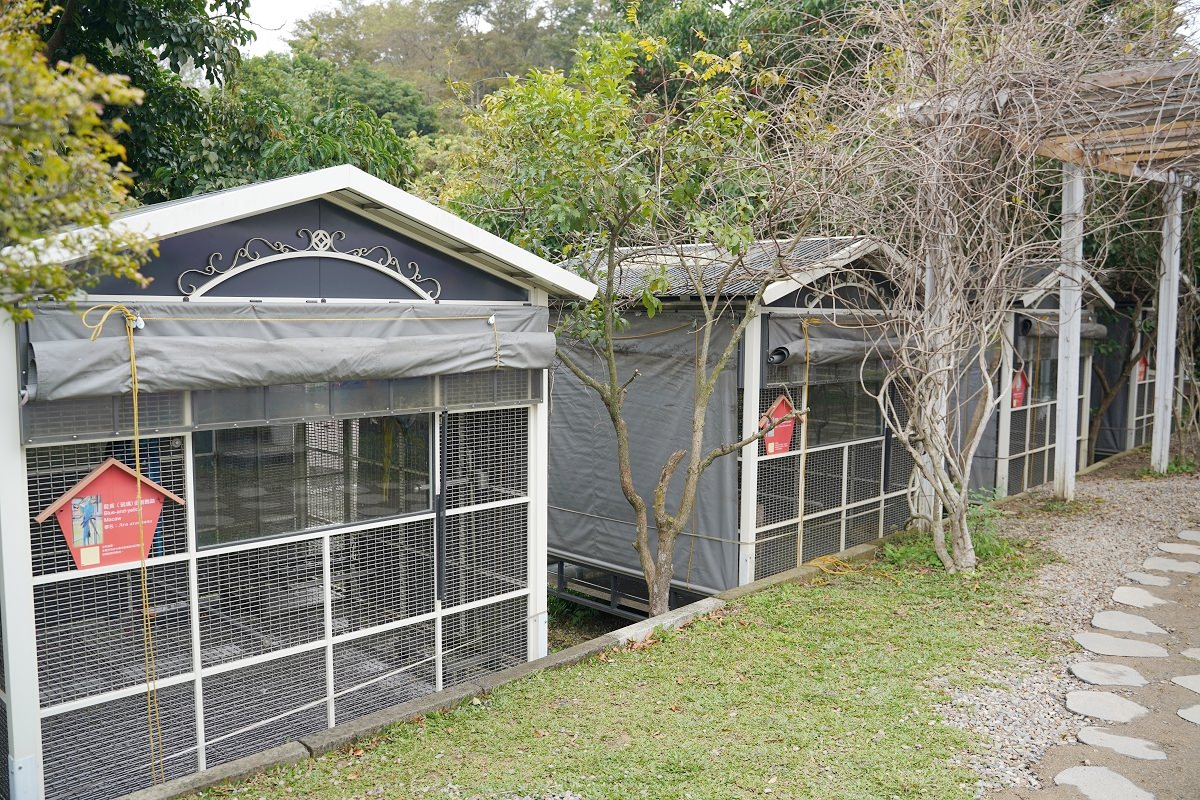 【大溪親子景點推薦】萬坪珍禽鳥類可愛動物莊園 龍貓巴士真的有龍貓 蘇家莊園