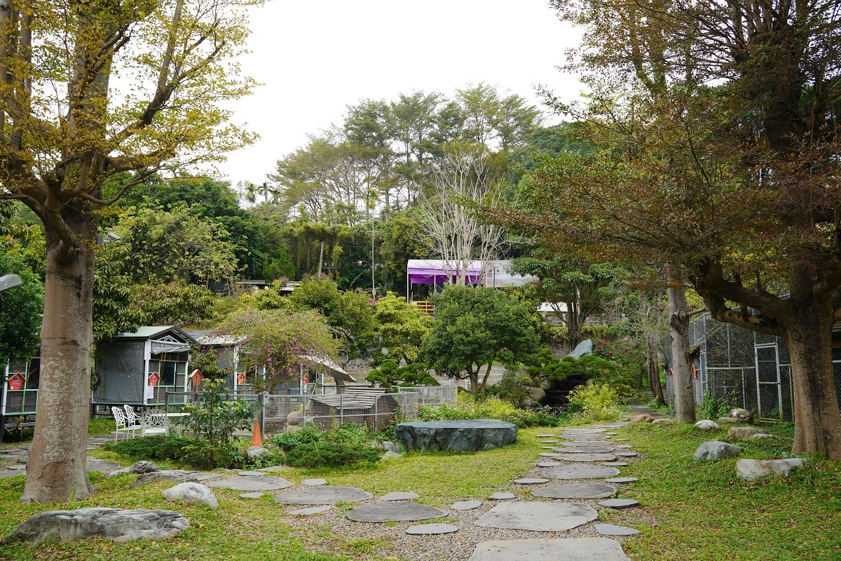 【大溪親子景點推薦】萬坪珍禽鳥類可愛動物莊園 龍貓巴士真的有龍貓 蘇家莊園