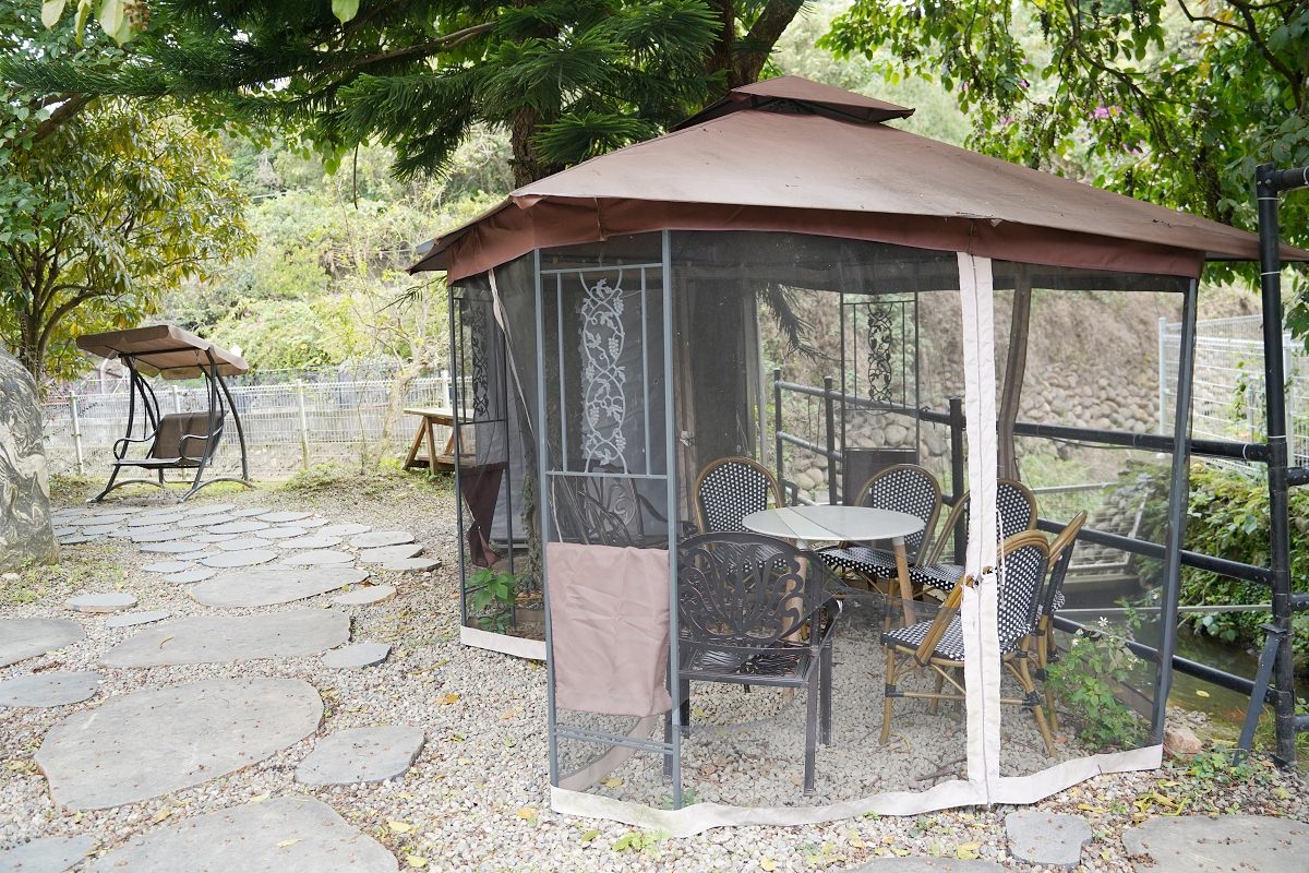 【大溪親子景點推薦】萬坪珍禽鳥類可愛動物莊園 龍貓巴士真的有龍貓 蘇家莊園