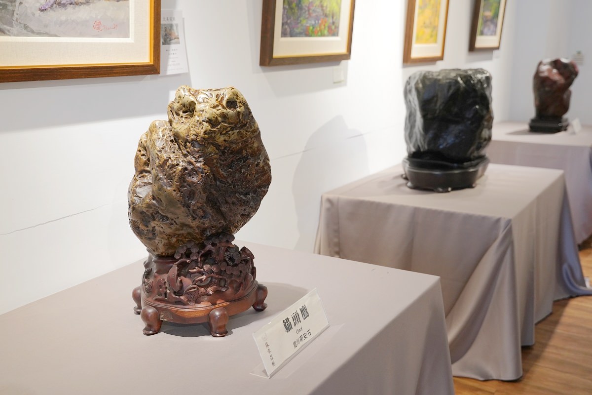 【大溪親子景點推薦】萬坪珍禽鳥類可愛動物莊園 龍貓巴士真的有龍貓 蘇家莊園
