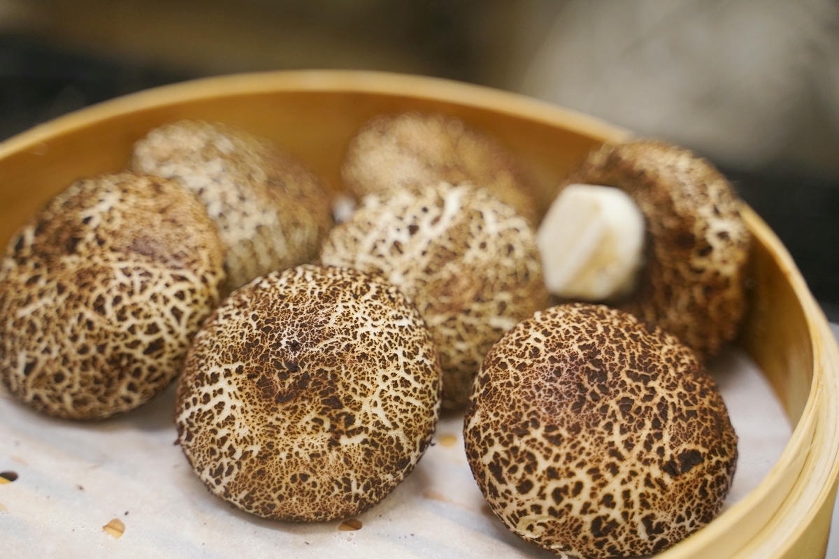 【Spotlight 星滙餐廳】新濠影滙華麗裝飾派藝術風格 澳門吃到飽餐廳首選 美團人氣餐廳