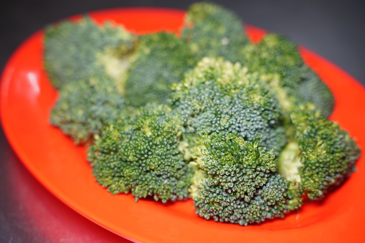 【松山火鍋推薦】招牌胡椒豬肚雞鍋免費無限加湯 饒河觀光夜市聚餐好選擇 蘇記嘀兜雞松山八德店