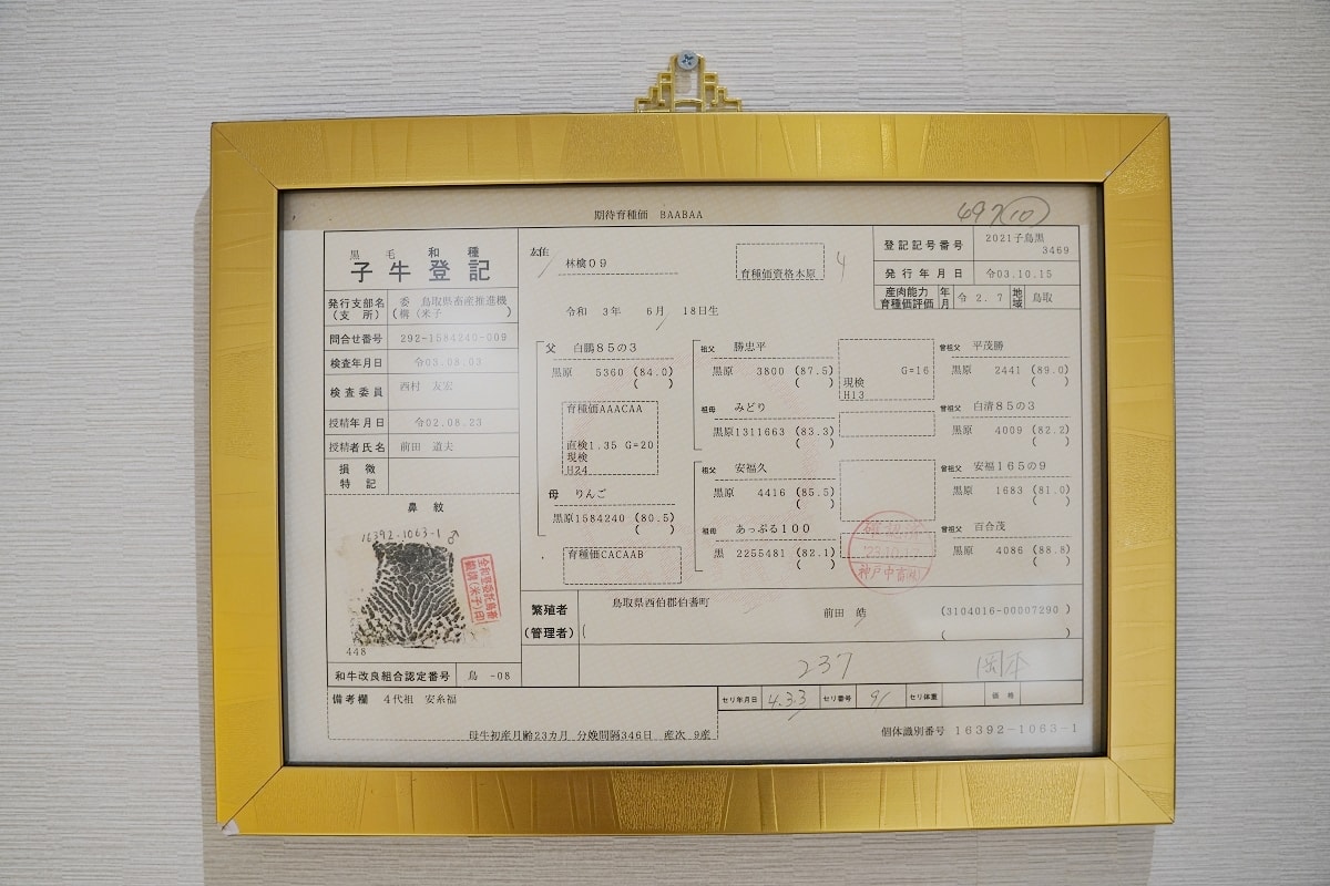 【桃園藝文特區和牛燒肉推薦】嚴選純正日本A5和牛 獨立包廂聚會用餐好選擇 純水燒肉やきにく - 第4張圖 【桃園藝文特區和牛燒肉推薦】嚴選純正日本A5和牛 獨立包廂聚會用餐好選擇 純水燒肉やきにく