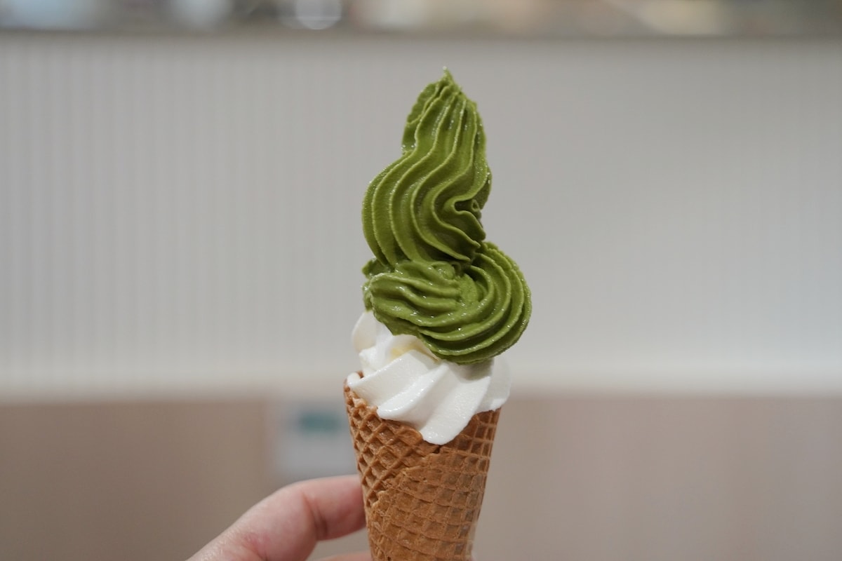 【桃園藝文特區小火鍋推薦】霜淇淋/咖哩飯/蔬菜火鍋料自助吧吃到飽 老吳商行個人鍋物桃園店