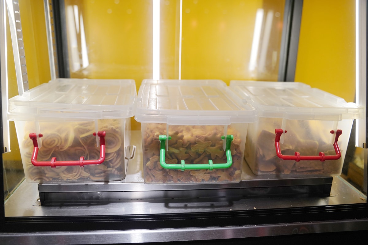 【小時厚牛排桃園中壢店】中壢牛排館推薦 平價高品質百分之百原肉 豐富自助吧無限量供應吃到飽