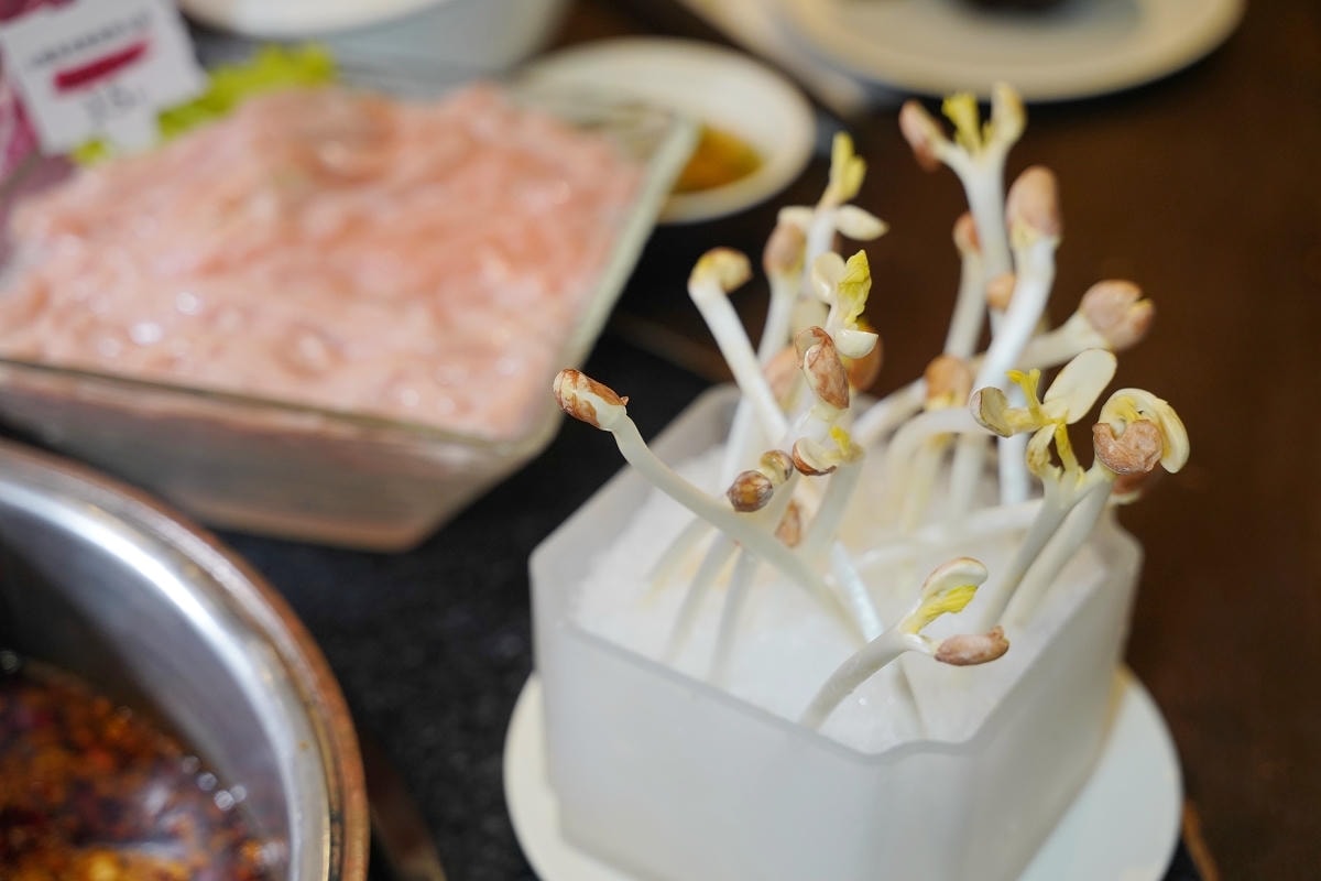 【小膳香成都麻辣火鍋】全台第一間手工現切溫體牛麻辣火鍋 10種當日現宰溫體牛部位全台北唯一 - 第33張圖 【小膳香成都麻辣火鍋】全台第一間手工現切溫體牛麻辣火鍋 10種當日現宰溫體牛部位全台北唯一
