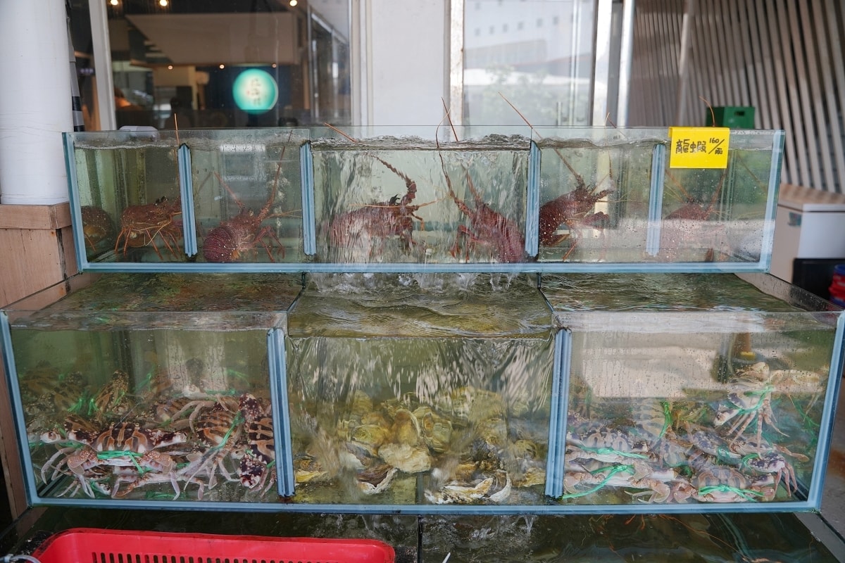 【臨海樓海鮮料理】澎湖海鮮餐廳海景包廂 獨特海鮮美食通通有 美味必點冰鎮絲瓜/魷魚沙西米