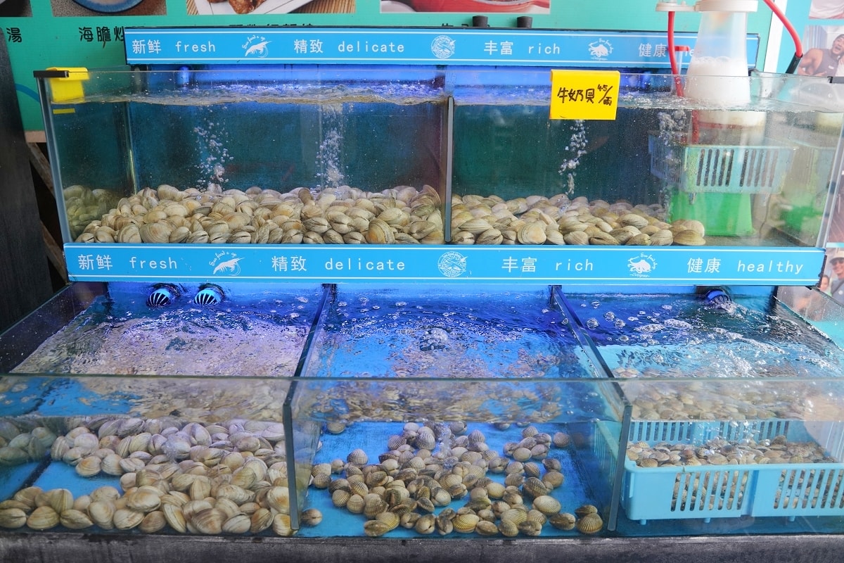 【臨海樓海鮮料理】澎湖海鮮餐廳海景包廂 獨特海鮮美食通通有 美味必點冰鎮絲瓜/魷魚沙西米