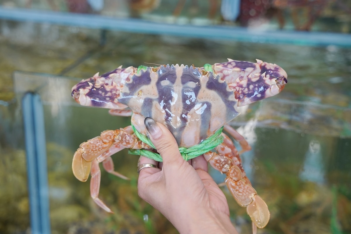 【臨海樓海鮮料理】澎湖海鮮餐廳海景包廂 獨特海鮮美食通通有 美味必點冰鎮絲瓜/魷魚沙西米