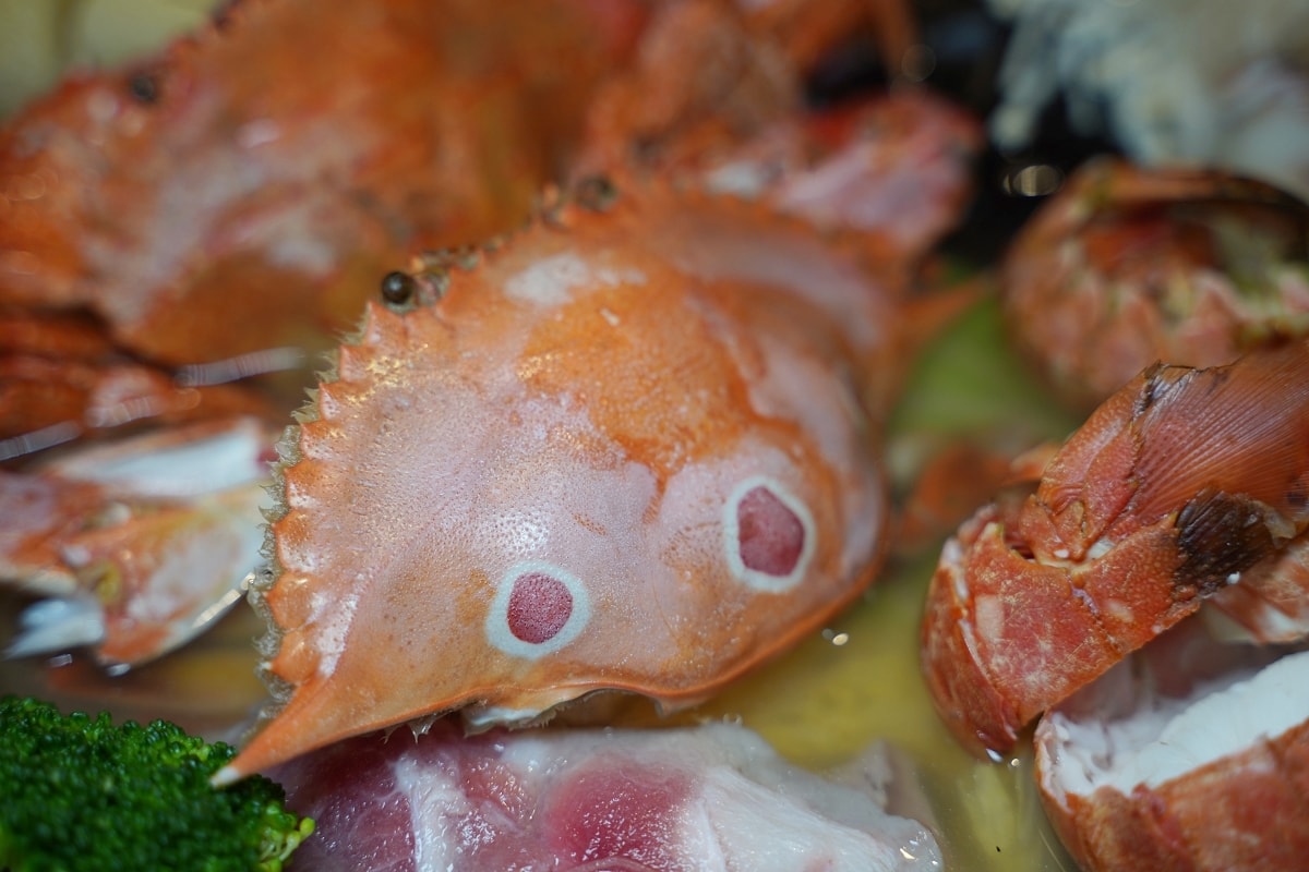 【臨海樓海鮮料理】澎湖海鮮餐廳海景包廂 獨特海鮮美食通通有 美味必點冰鎮絲瓜/魷魚沙西米