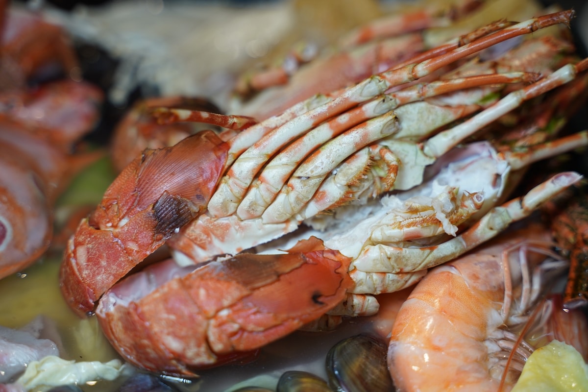 【臨海樓海鮮料理】澎湖海鮮餐廳海景包廂 獨特海鮮美食通通有 美味必點冰鎮絲瓜/魷魚沙西米
