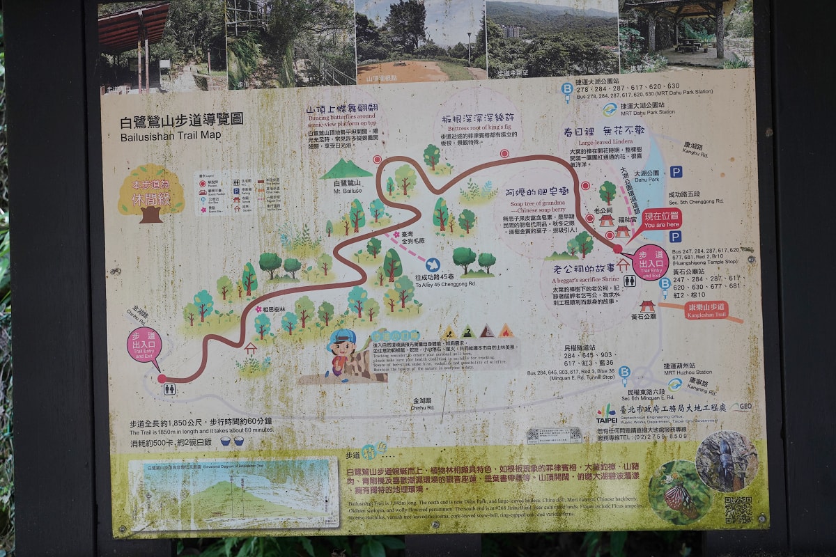 【大湖公園】台北內湖免費景點推薦 白鷺成群白鷺湖 中國園林式設計全球最美仙景美之橋
