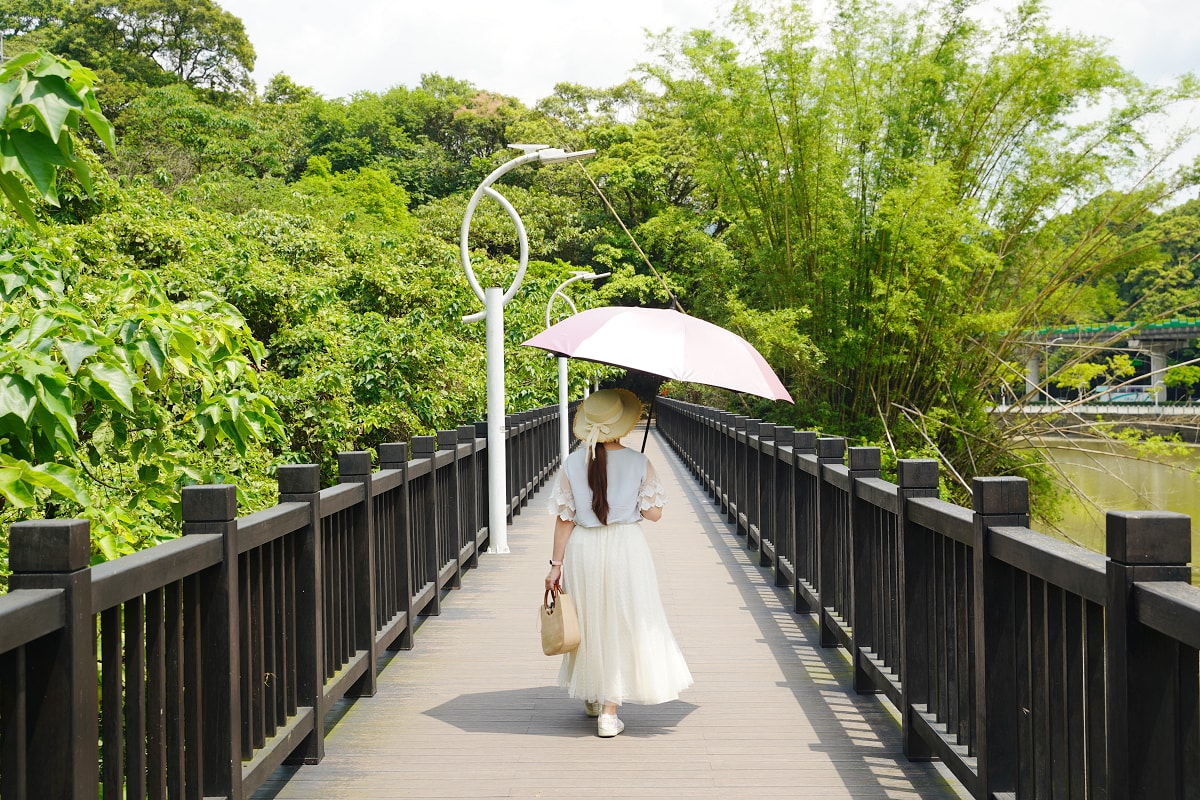 【大湖公園】台北內湖免費景點推薦 白鷺成群白鷺湖 中國園林式設計全球最美仙景美之橋