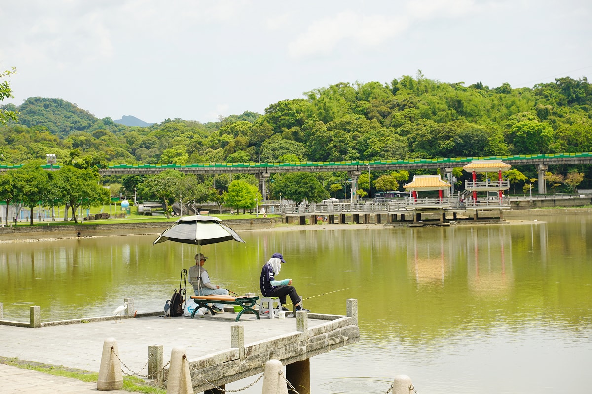 【大湖公園】台北內湖免費景點推薦 白鷺成群白鷺湖 中國園林式設計全球最美仙景美之橋