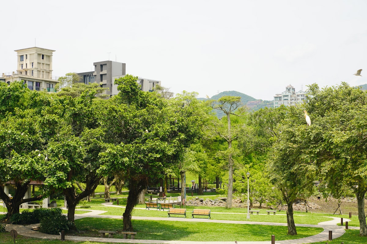 【大湖公園】台北內湖免費景點推薦 白鷺成群白鷺湖 中國園林式設計全球最美仙景美之橋