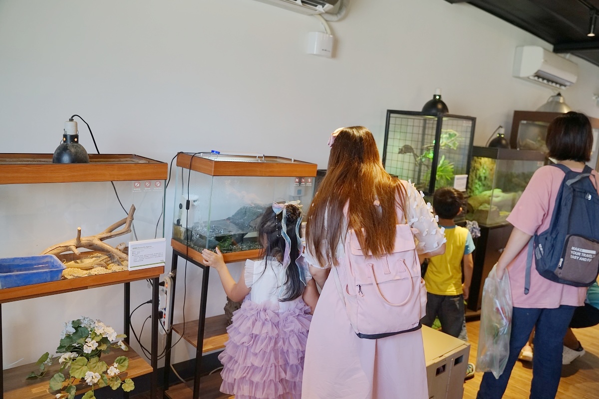 【桃園親子景點推薦】全新登場萌萌村和風祭 五米「豚神」裝置藝術閃亮登場 埔心牧場主題樂園