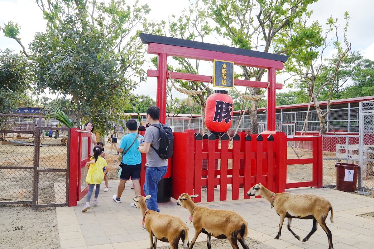 【桃園親子景點推薦】全新登場萌萌村和風祭 五米「豚神」裝置藝術閃亮登場 埔心牧場主題樂園