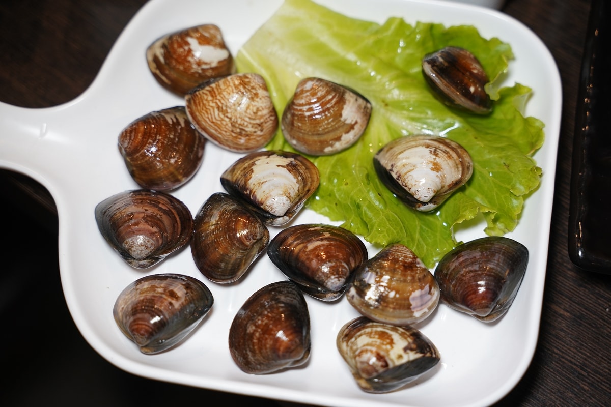 【龍潭聚餐餐廳推薦】傳承玉蘭活魚三代老店 內用白飯飲料無限量供應 玉蘭砂鍋魚頭