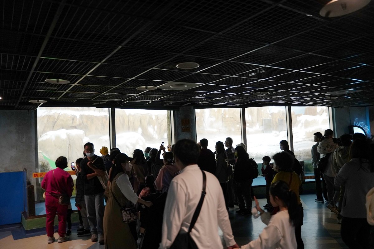 【台北親子景點推薦】全台佔地面積最大動物園 百年歷史創立於1914年 臺北市立動物園