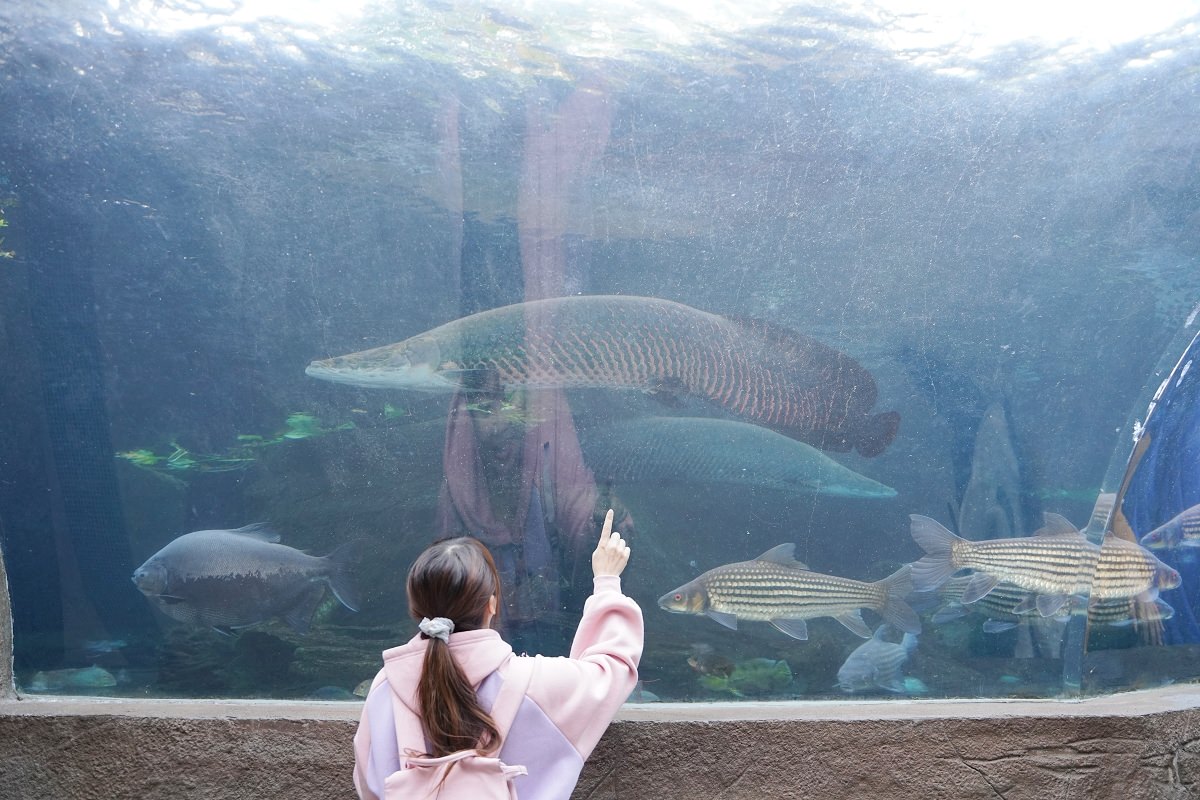 【台北親子景點推薦】全台佔地面積最大動物園 百年歷史創立於1914年 臺北市立動物園