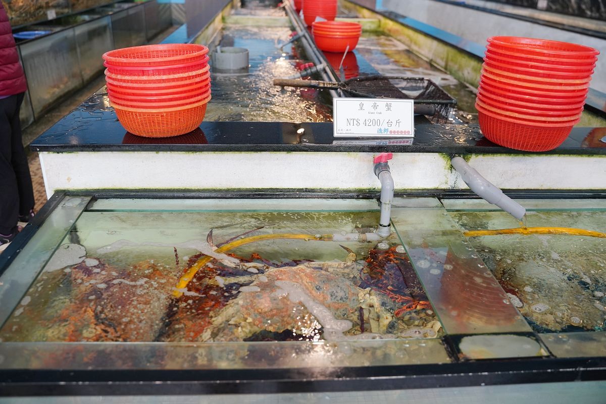【台北比目魚料理推薦】濟州Q-fish吃磷蝦的比目魚 台北全包廂式餐廳 海九澎湖海鮮餐廳