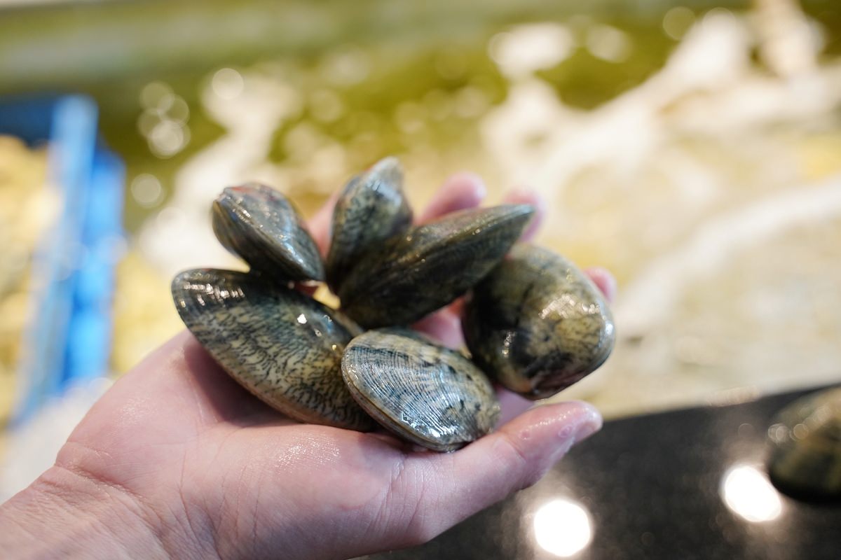 【台北比目魚料理推薦】濟州Q-fish吃磷蝦的比目魚 台北全包廂式餐廳 海九澎湖海鮮餐廳