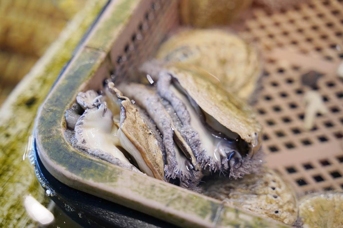 【台北比目魚料理推薦】濟州Q-fish吃磷蝦的比目魚 台北全包廂式餐廳 海九澎湖海鮮餐廳
