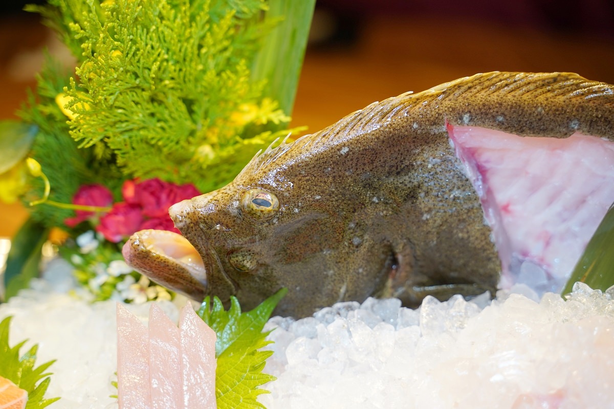 【台北比目魚料理推薦】濟州Q-fish吃磷蝦的比目魚 台北全包廂式餐廳 海九澎湖海鮮餐廳