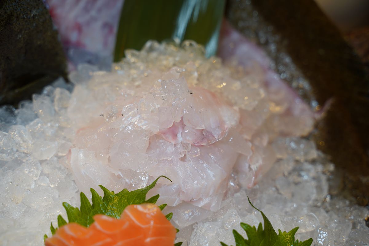 【台北比目魚料理推薦】濟州Q-fish吃磷蝦的比目魚 台北全包廂式餐廳 海九澎湖海鮮餐廳