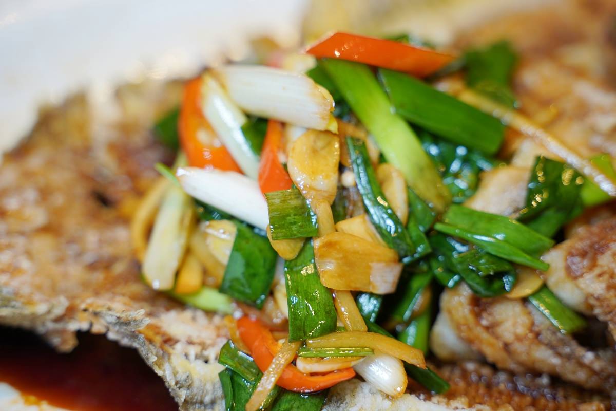 【台北比目魚料理推薦】濟州Q-fish吃磷蝦的比目魚 台北全包廂式餐廳 海九澎湖海鮮餐廳