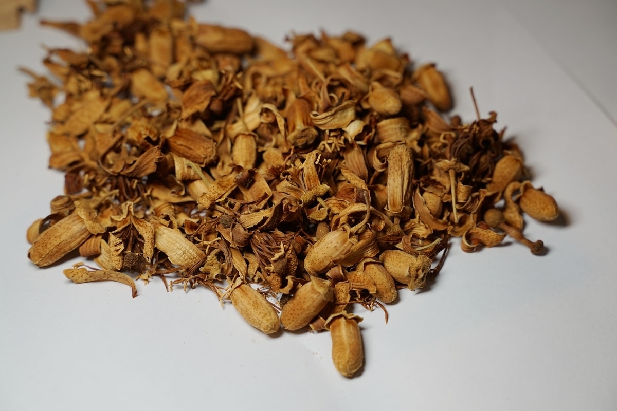 【花蓮瑞穗親子景點推薦】柚子手作DIY體驗 柚子園一日柚農體驗 木日光鶴岡文旦驛站