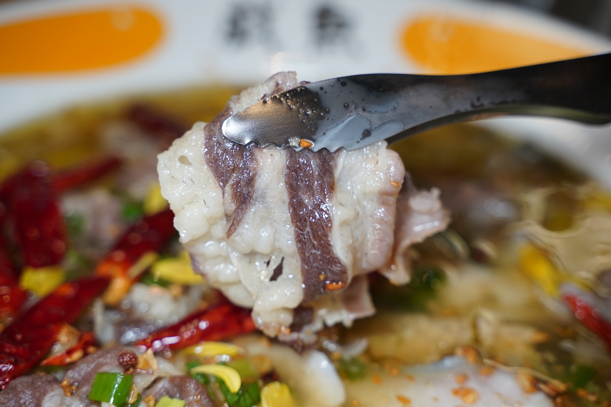 【桃園酸菜魚推薦】JC PARK 食尚廣場桃園春日館美食好選擇 濃郁爆香干鍋牛蛙美味必點 戲魚酸菜魚春日店