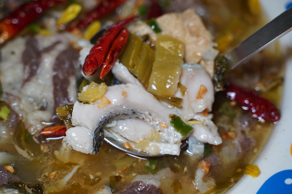 【桃園酸菜魚推薦】JC PARK 食尚廣場桃園春日館美食好選擇 濃郁爆香干鍋牛蛙美味必點 戲魚酸菜魚春日店