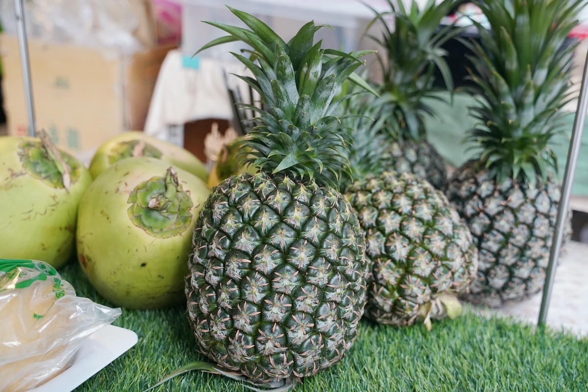 【四平陽光商圈 】2025四平Shoppin樂享季活動開跑啦！滿額抽好禮 上萬元獎品等你抽