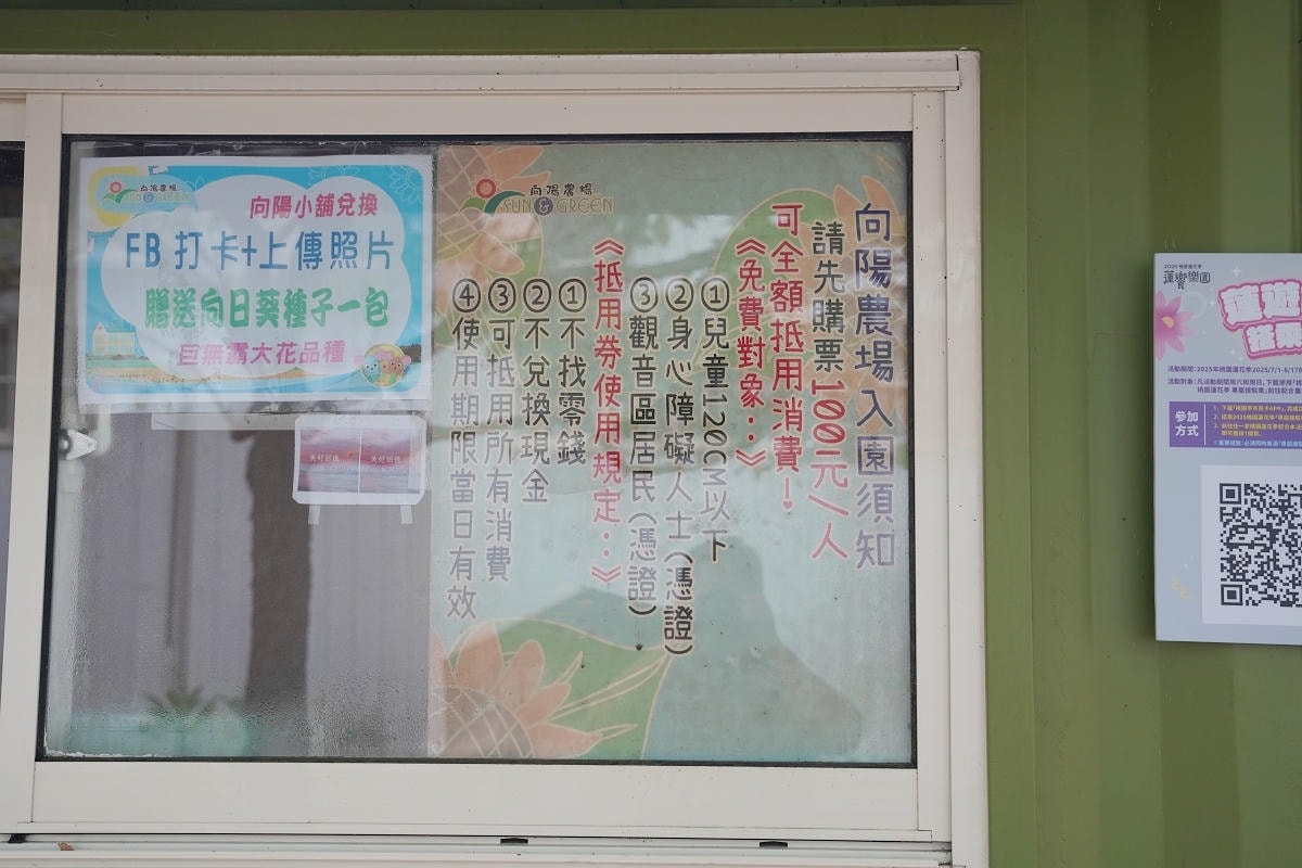 【向陽農場 Sun&Green】桃園親子景點推薦 桃園觀音向日葵主題農場 夏日網美打卡景點