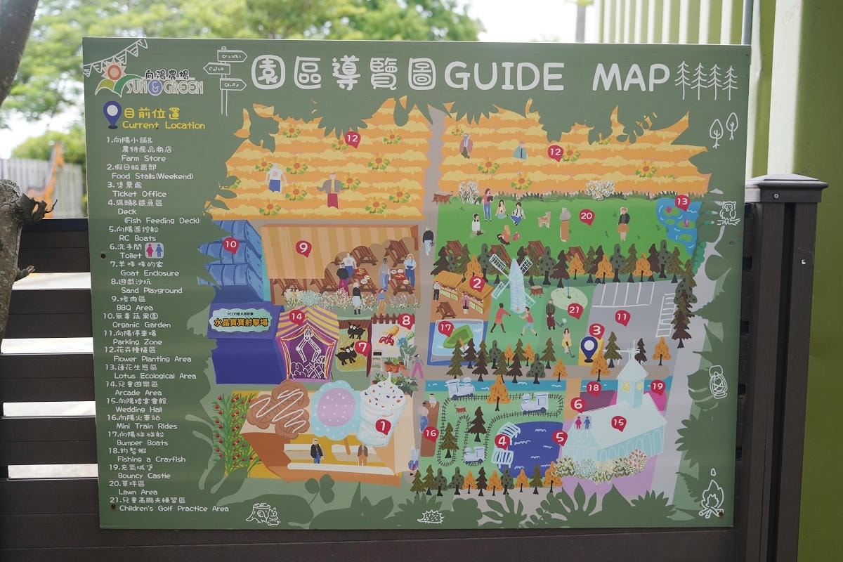 【向陽農場 Sun&Green】桃園親子景點推薦 桃園觀音向日葵主題農場 夏日網美打卡景點