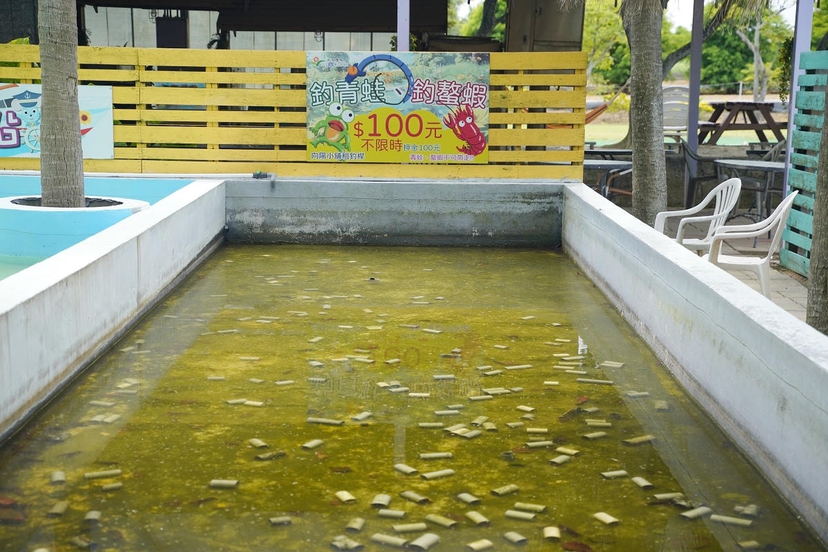 【向陽農場 Sun&Green】桃園親子景點推薦 桃園觀音向日葵主題農場 夏日網美打卡景點