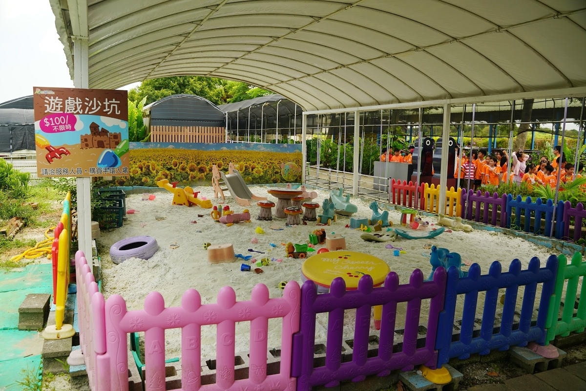 【向陽農場 Sun&Green】桃園親子景點推薦 桃園觀音向日葵主題農場 夏日網美打卡景點