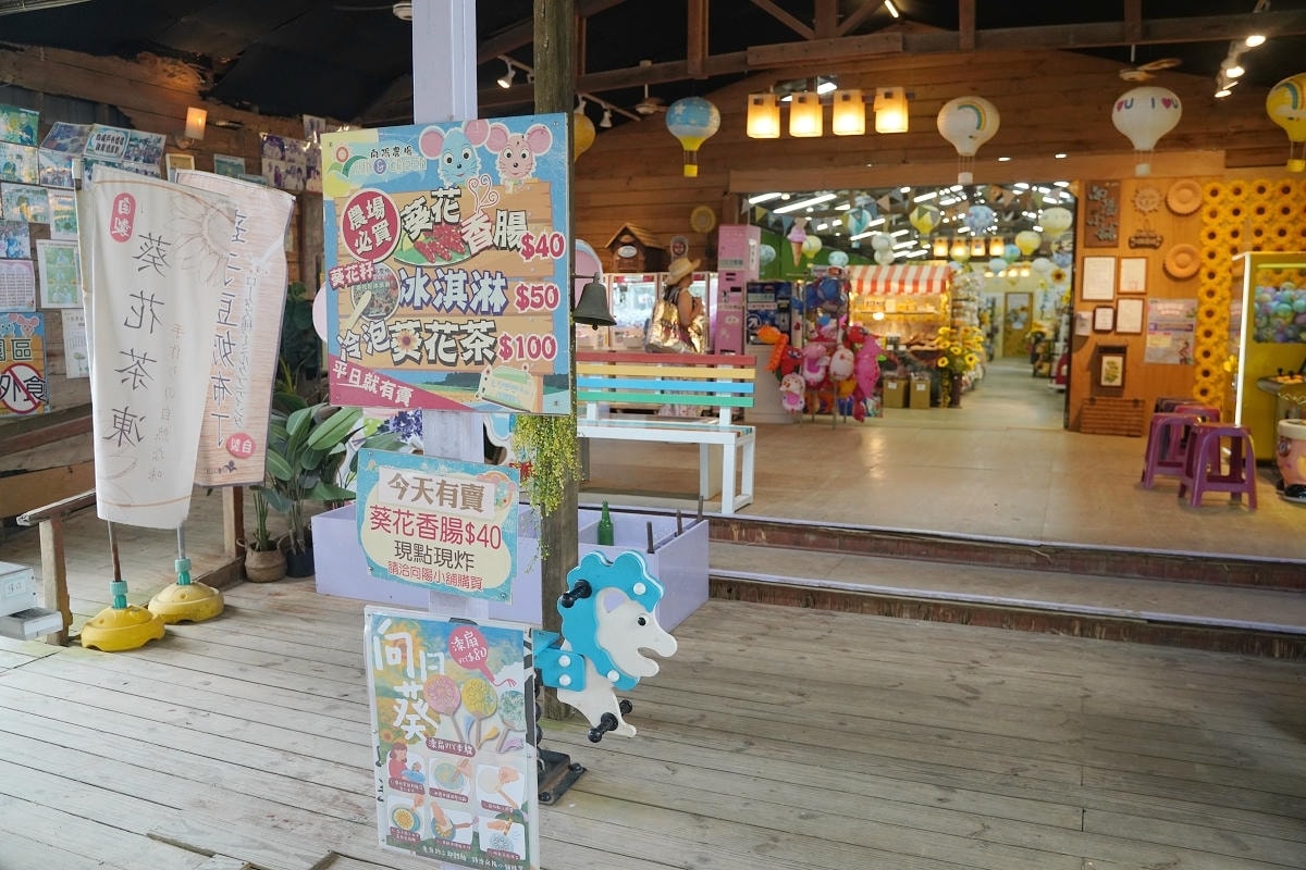 【向陽農場 Sun&Green】桃園親子景點推薦 桃園觀音向日葵主題農場 夏日網美打卡景點