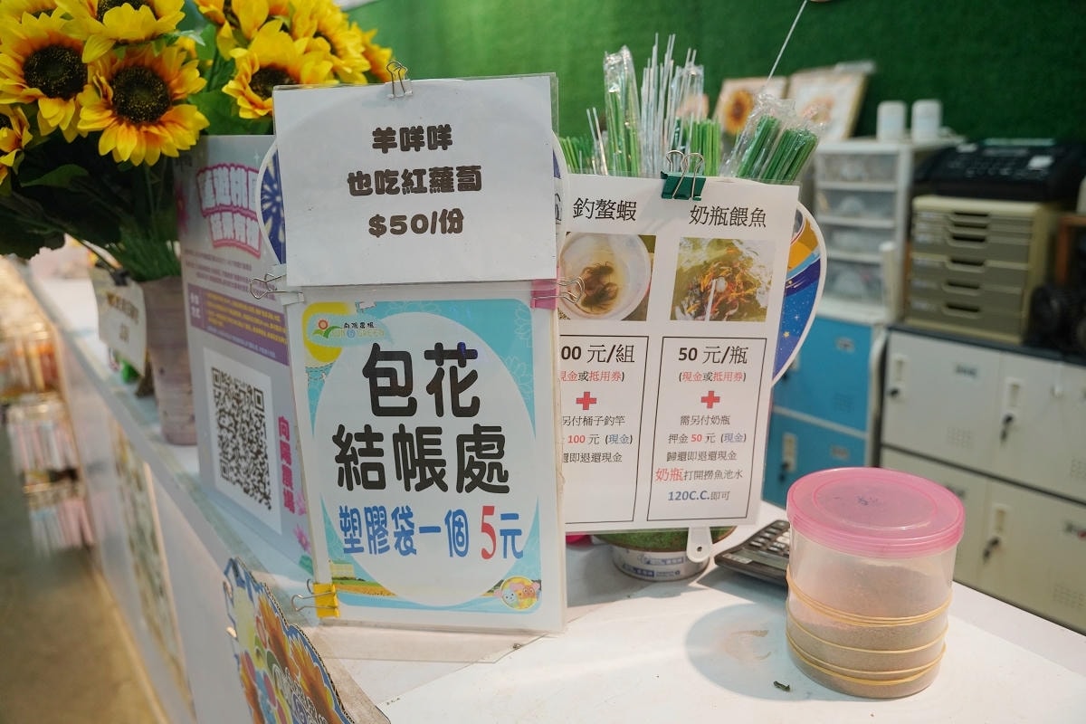 【向陽農場 Sun&Green】桃園親子景點推薦 桃園觀音向日葵主題農場 夏日網美打卡景點