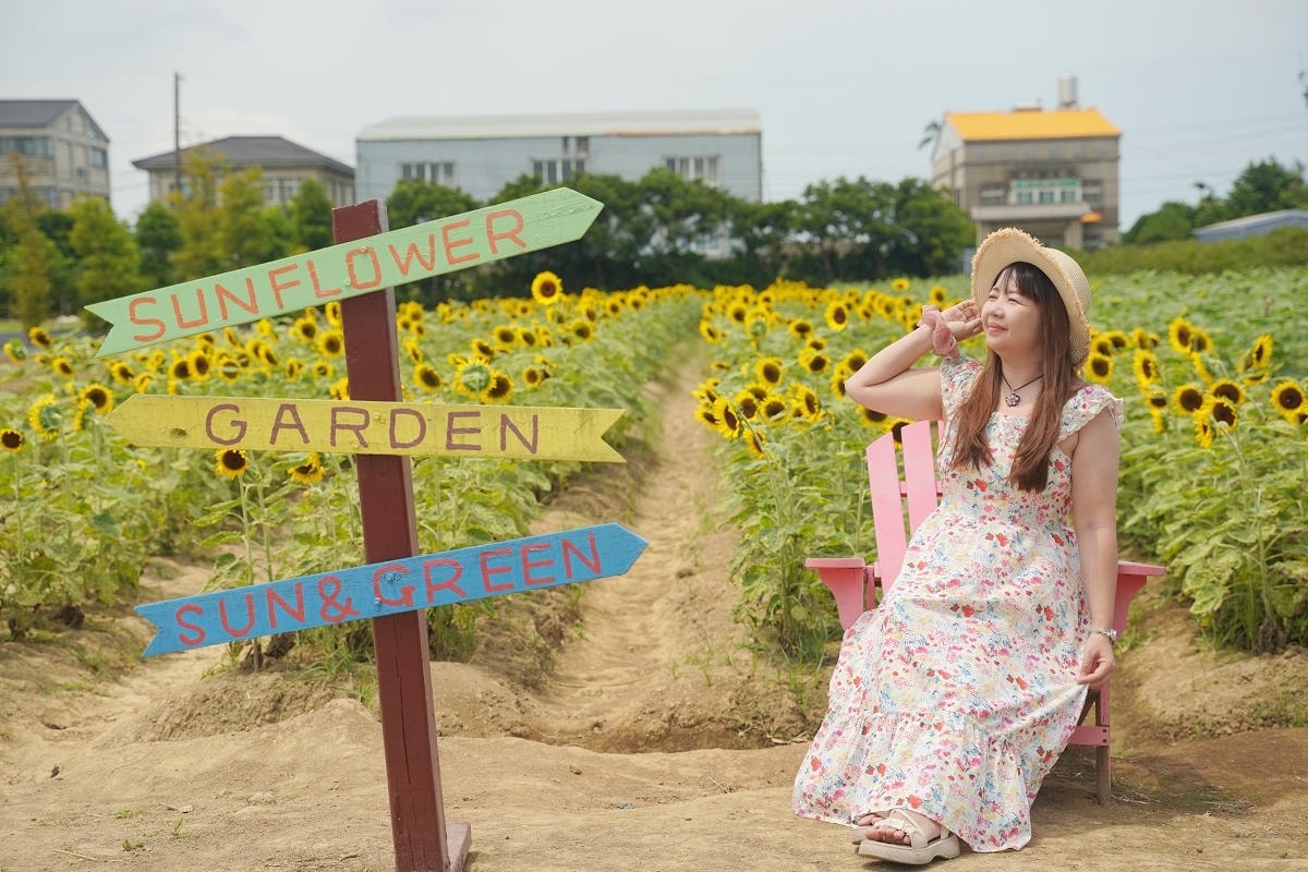【向陽農場 Sun&Green】桃園親子景點推薦 桃園觀音向日葵主題農場 夏日網美打卡景點