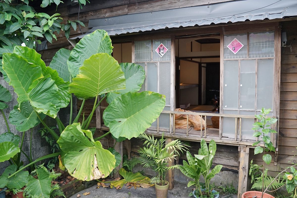 【花蓮玉里咖啡廳推薦】玉里市區日式老宅咖啡館 全植物無蛋奶生食旦糕 侘咖啡&凱莉姐的小廚房 - 第3張圖 【花蓮玉里咖啡廳推薦】玉里市區日式老宅咖啡館 全植物無蛋奶生食旦糕 侘咖啡&凱莉姐的小廚房