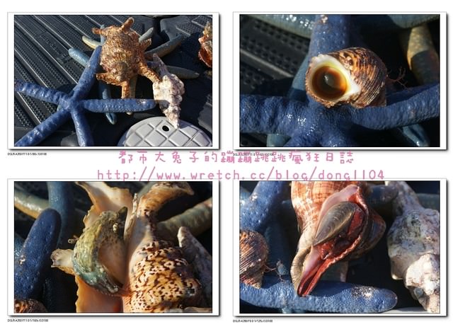【屏東遊記】小琉球。天藍藍二日遊–浮潛看魚去 - 第3張圖 【屏東遊記】小琉球。天藍藍二日遊–浮潛看魚去