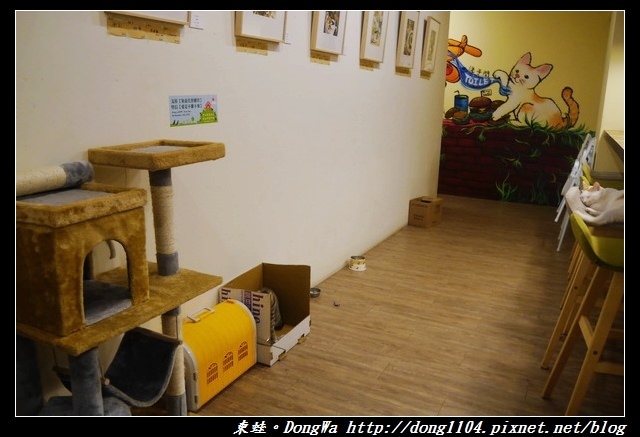 【桃園食記】三元街貓咪早餐店|寵物友善|DEMO HOUSE 早午餐 【桃園食記】三元街貓咪早餐店|寵物友善|DEMO HOUSE 早午餐
