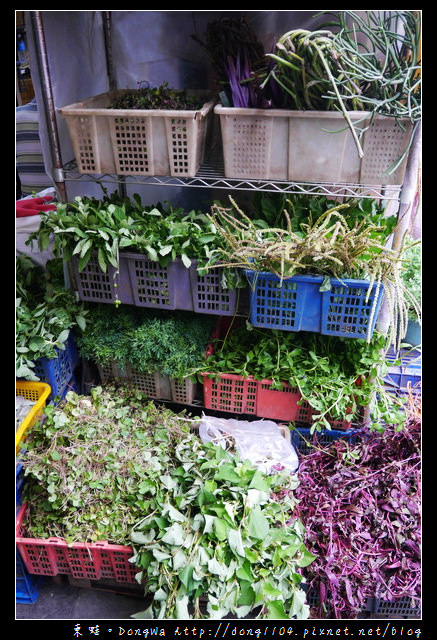 【台北遊記】萬華龍山寺景點|西昌街二二四巷|萬華青草巷