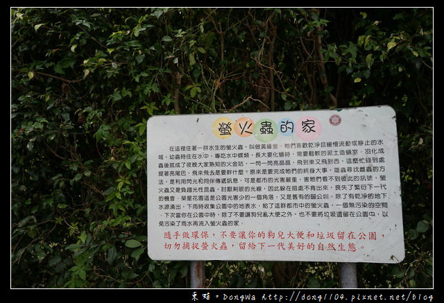 【台北遊記】台北免費景點|台北市第一座兒童參與設計遊戲場|瑠公圳自然濕地生態池|榮星花園